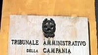 09/04/2019 - Nella multiservizi incarico fiduciario all’amministratore