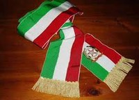 08/02/2019 - Fascia tricolore, delega circoscritta