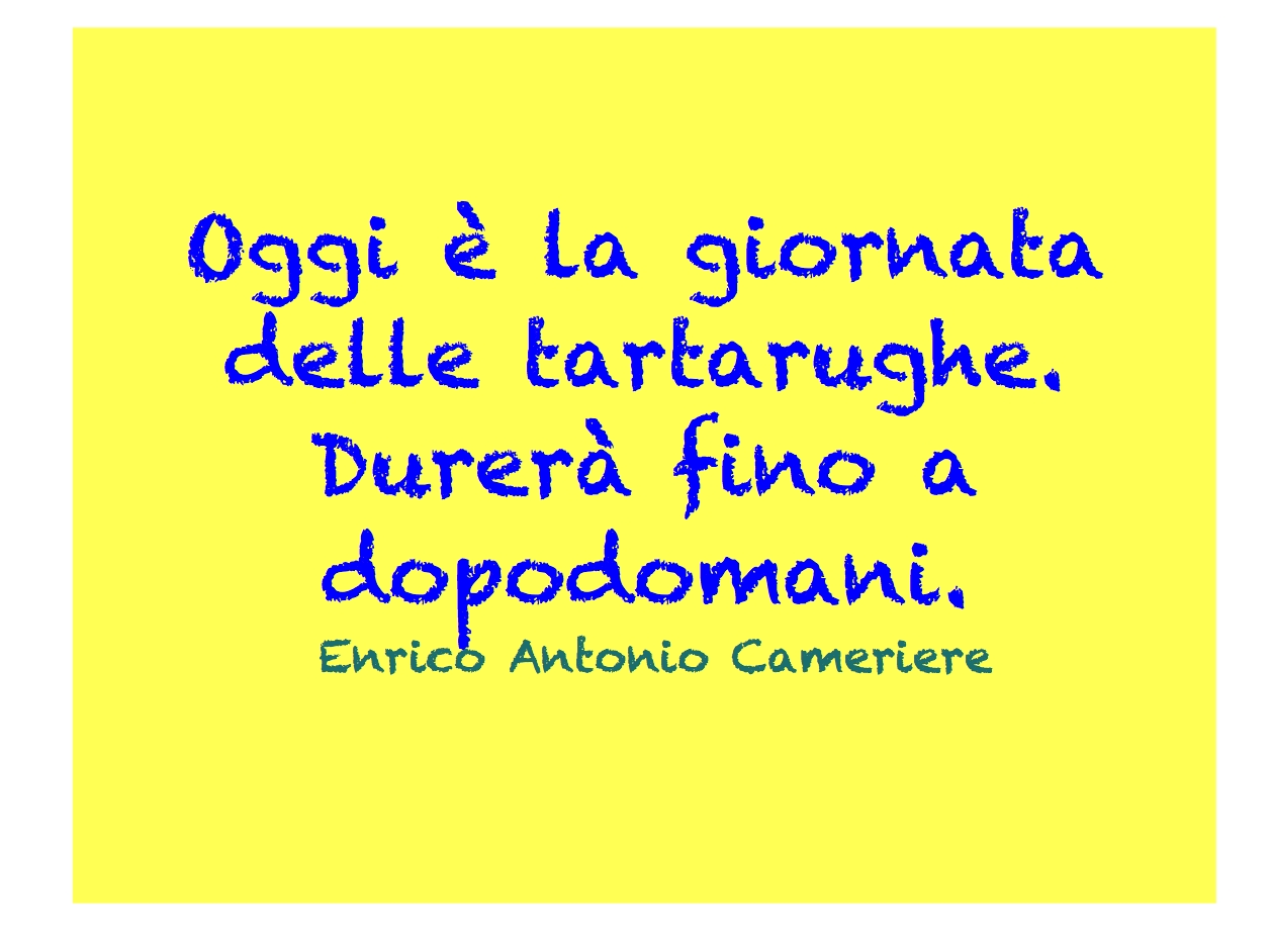giornata tartarughe