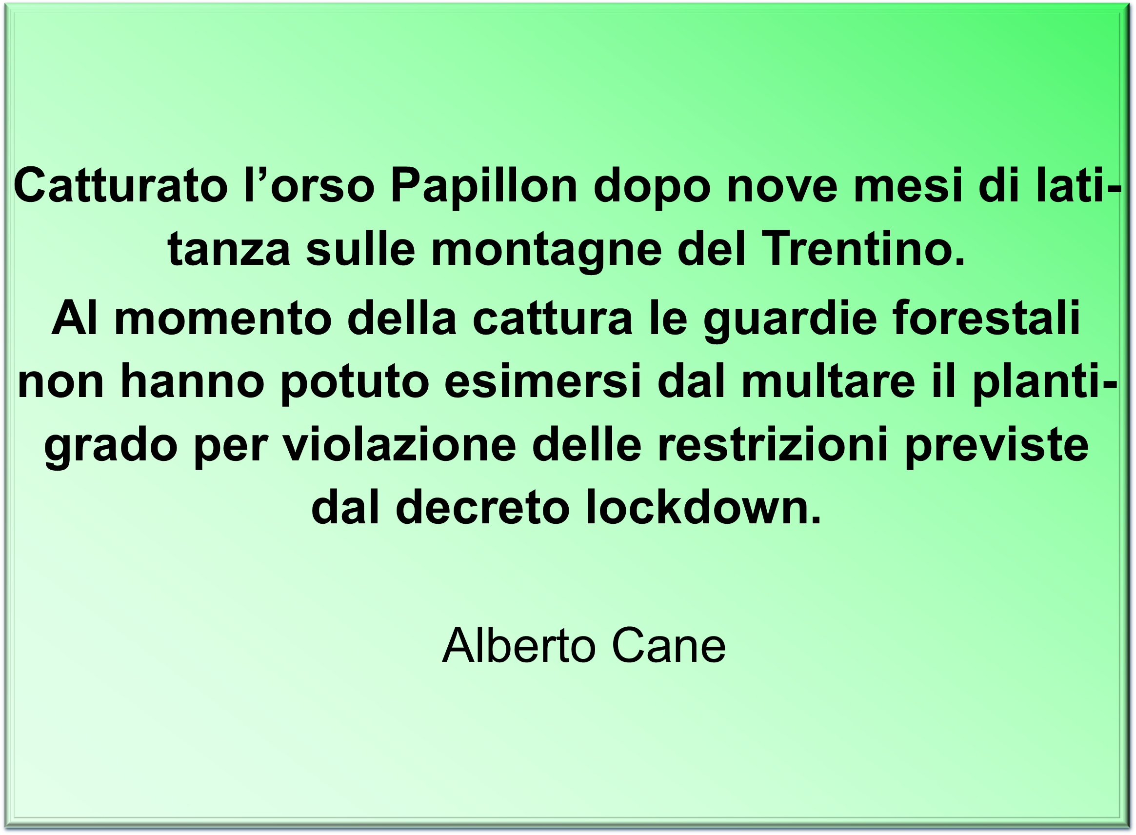 catturato...