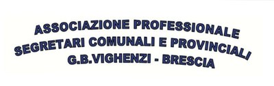 logo vighenzi logo vighenzi
