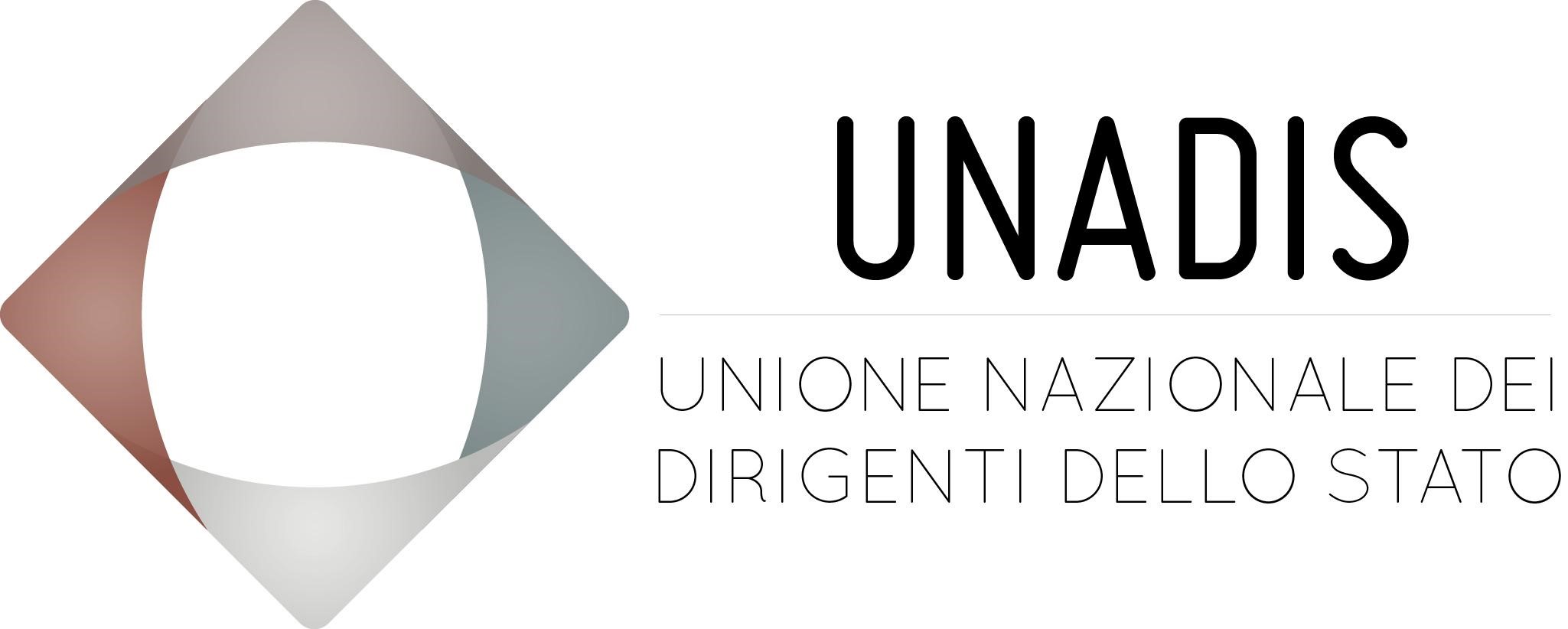 logo unadis