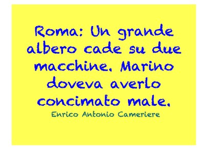 albero roma albero roma