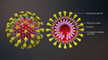 21/02/2022 - Compilazione modelli relativi alla certificazione della perdita di gettito connessa all’emergenza epidemiologica da COVID-19 per l’anno 2021